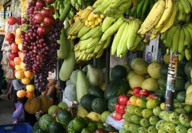 top-20-fruit-producing-countries-in-the-world