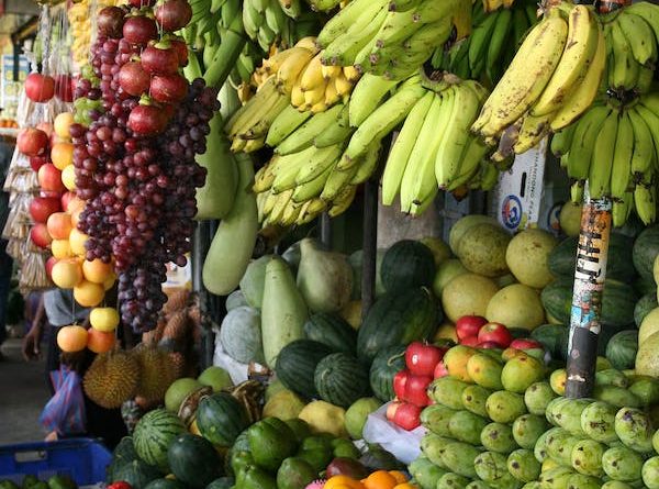 top-20-fruit-producing-countries-in-the-world